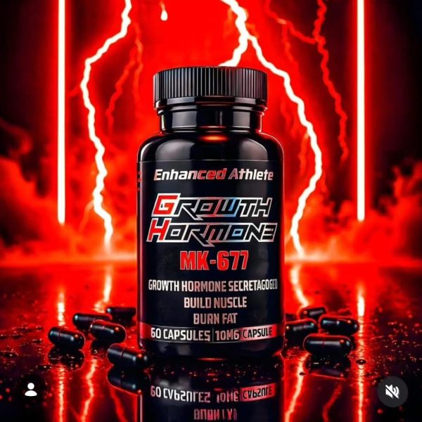 WhatsApp Image 2025-12-11 at 11.09.02 AM (1)