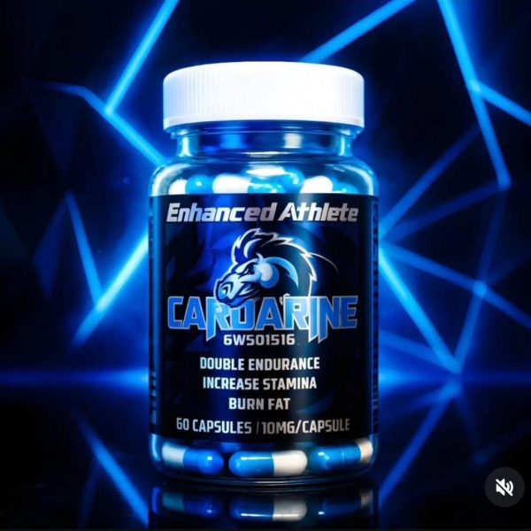 WhatsApp Image 2025-12-11 at 11.09.02 AM (2)